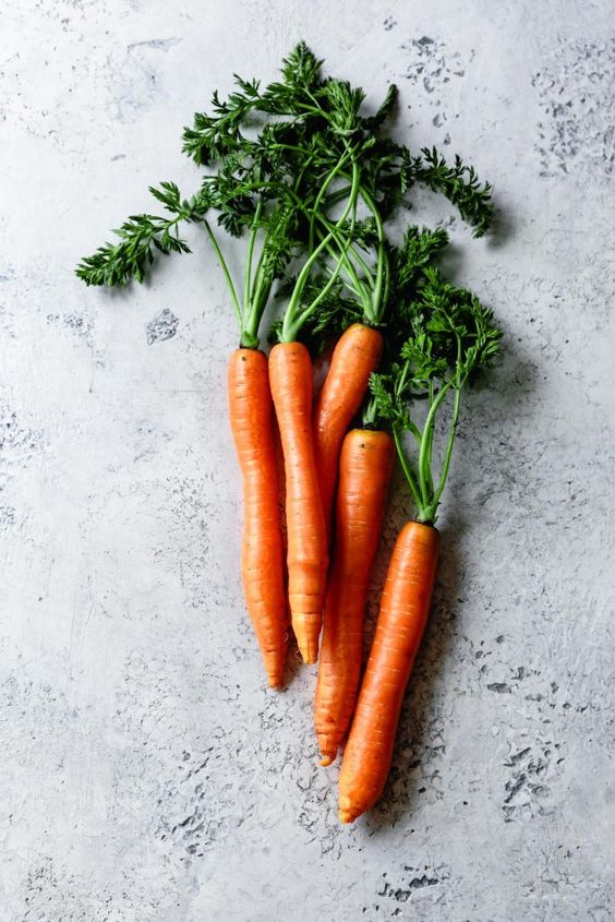 carottes