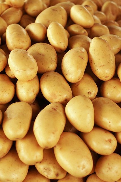 Patates