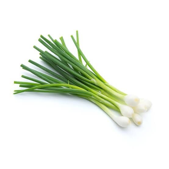Spring Onion (Green onion)