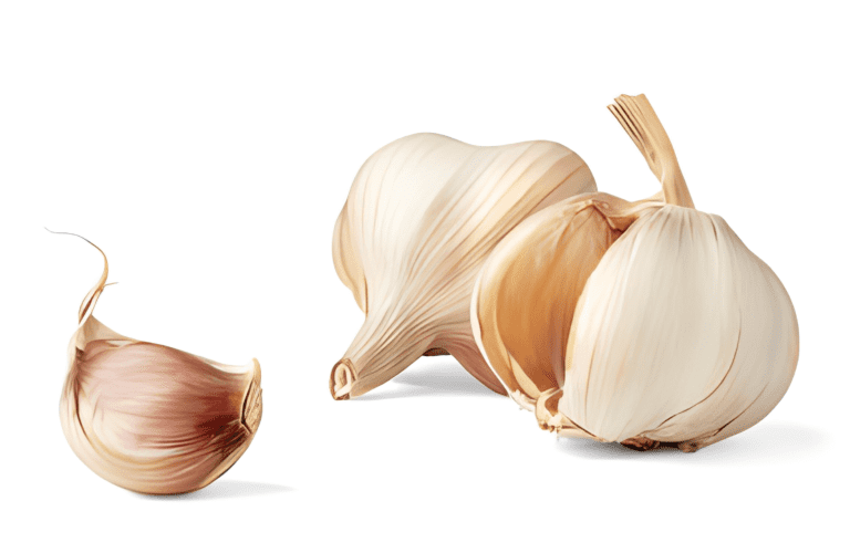 Dry Garlic