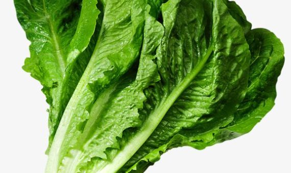 leafy vegetables