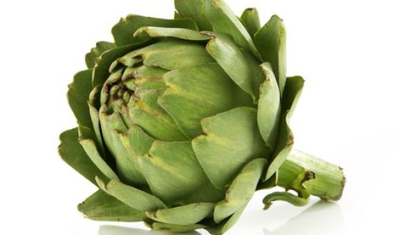 Egyptian Artichoke