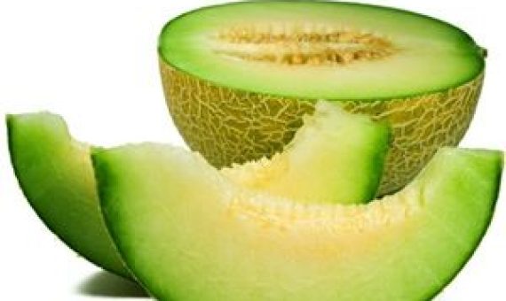Melon