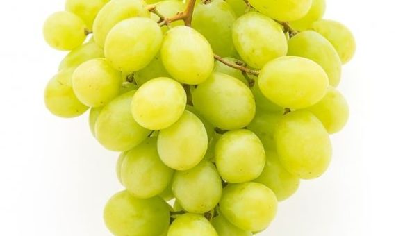 grapes