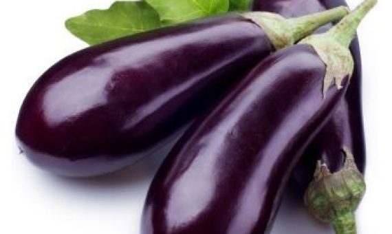 eggplant