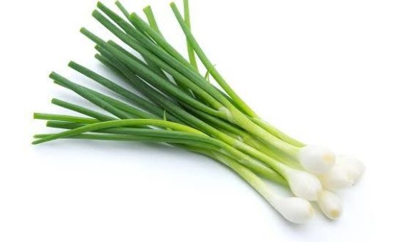 Spring Onion (Green onion)